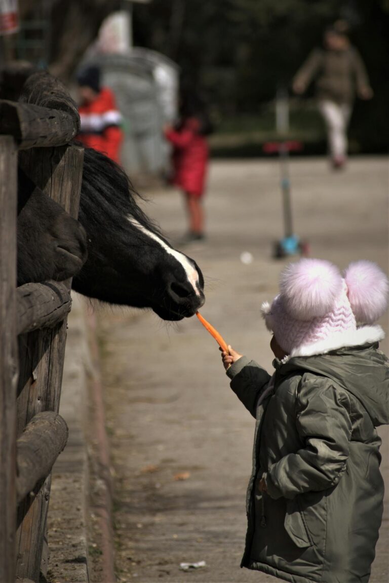 A child in winter attire feeding a carrot to a horse through a fence.
