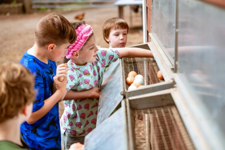 Kids exploring farm life by collecting eggs. A fun outdoor activity in Victoria, BC, Canada.